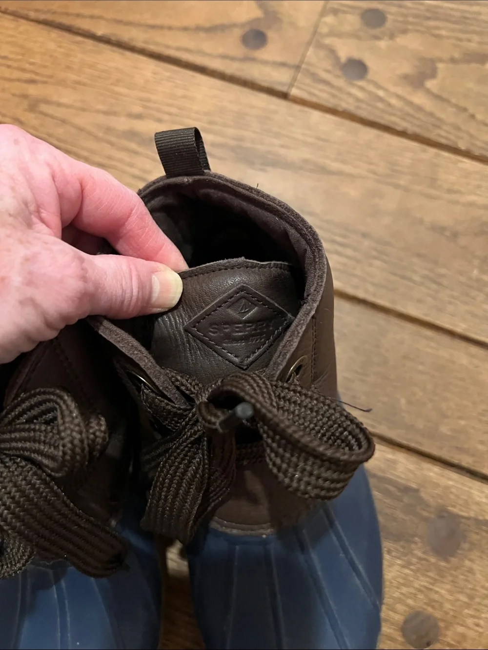 Sperry men rain